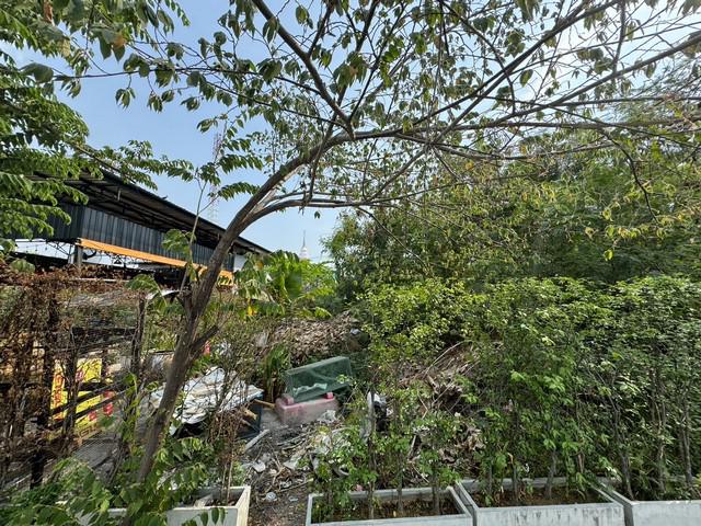 ที่ดิน 30000 กรุงเทพมหานคร เขตพระโขนง บางจาก ที่ดิน 30000 กรุงเทพมหานคร เขตพระโขนง บางจาก