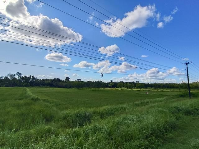 ที่ดิน 9000000 บึงกาฬ พรเจริญ ป่าแฝก ที่ดิน 9000000 บึงกาฬ พรเจริญ ป่าแฝก