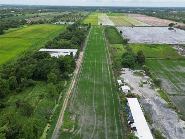 ที่ดิน 2450 ปทุมธานี หนองเสือ หนองสามวัง ที่ดิน 2450 ปทุมธานี หนองเสือ หนองสามวัง