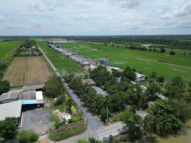 ที่ดิน 2450 ปทุมธานี หนองเสือ หนองสามวัง ที่ดิน 2450 ปทุมธานี หนองเสือ หนองสามวัง