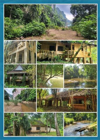 ที่ดิน 25000000 สุราษฎร์ธานี พนม คลองศก