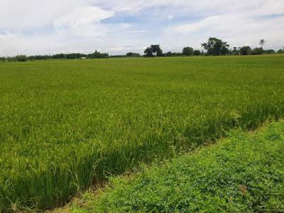 ที่ดิน 6600000 สุพรรณบุรี ดอนเจดีย์ ดอนเจดีย์
