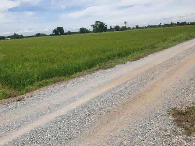 ที่ดิน 6600000 สุพรรณบุรี ดอนเจดีย์ ดอนเจดีย์ ที่ดิน 6600000 สุพรรณบุรี ดอนเจดีย์ ดอนเจดีย์