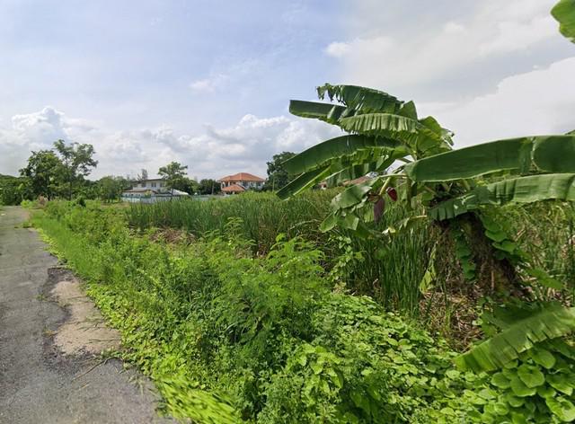 ที่ดิน 1250000 นครปฐม นครชัยศรี แหลมบัว ที่ดิน 1250000 นครปฐม นครชัยศรี แหลมบัว