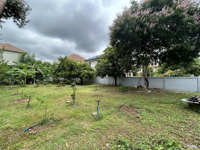 ที่ดิน 4524000 ขอนแก่น เมืองขอนแก่น เมืองเก่า ที่ดิน 4524000 ขอนแก่น เมืองขอนแก่น เมืองเก่า