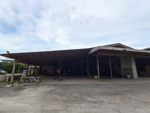 โรงงาน 25000000 บึงกาฬ พรเจริญ ป่าแฝก โรงงาน 25000000 บึงกาฬ พรเจริญ ป่าแฝก