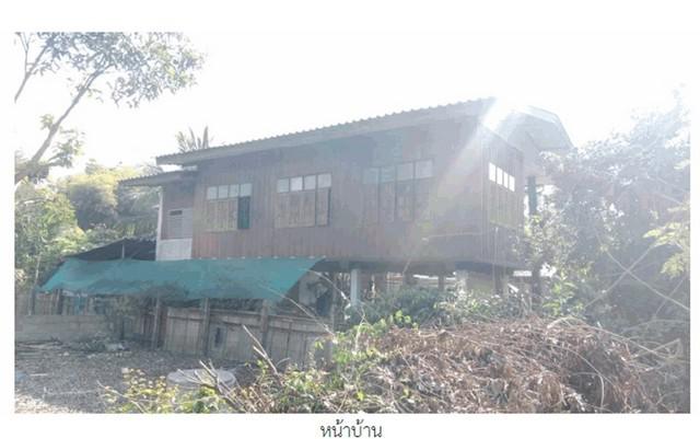 บ้านเดี่ยว 650000 เชียงราย เชียงแสน ศรีดอนมูล บ้านเดี่ยว 650000 เชียงราย เชียงแสน ศรีดอนมูล