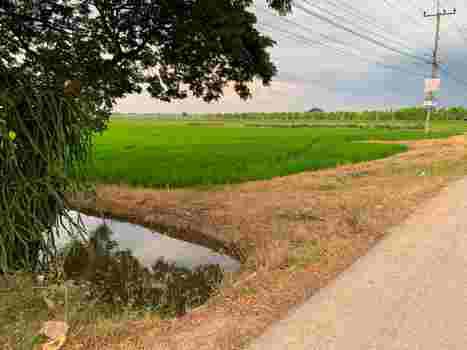 ที่ดิน 139195000 ปทุมธานี ลำลูกกา ลำลูกกา ที่ดิน 139195000 ปทุมธานี ลำลูกกา ลำลูกกา
