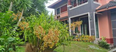 ที่ดิน 15000000 ระนอง เมืองระนอง บางนอน