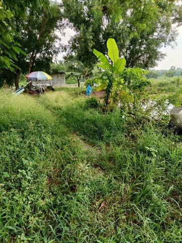ที่ดิน 30000000 ปทุมธานี หนองเสือ บึงกาสาม ที่ดิน 30000000 ปทุมธานี หนองเสือ บึงกาสาม