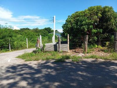 ที่ดิน 300000 ลำพูน บ้านโฮ่ง เหล่ายาว