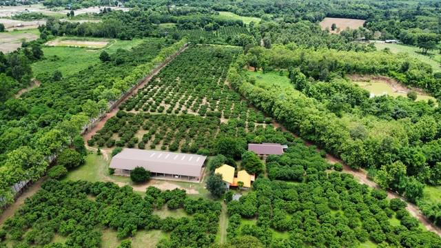 ที่ดิน 65000000 น่าน เมืองน่าน ผาสิงห์ ที่ดิน 65000000 น่าน เมืองน่าน ผาสิงห์