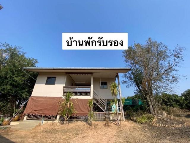 ที่ดิน 65000000 น่าน เมืองน่าน ผาสิงห์ ที่ดิน 65000000 น่าน เมืองน่าน ผาสิงห์