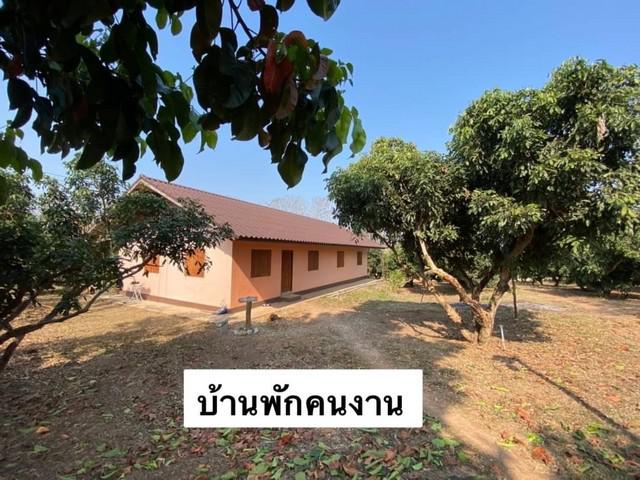 ที่ดิน 65000000 น่าน เมืองน่าน ผาสิงห์ ที่ดิน 65000000 น่าน เมืองน่าน ผาสิงห์