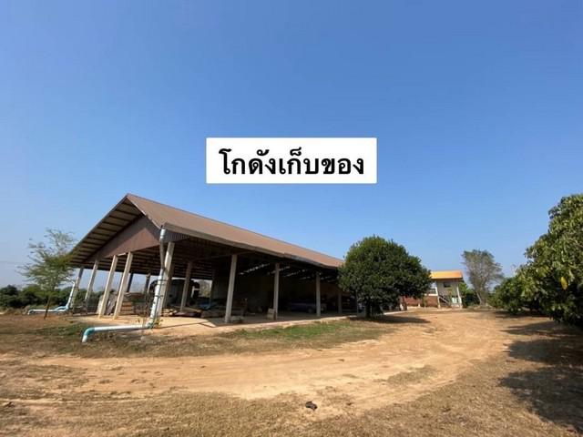 ที่ดิน 65000000 น่าน เมืองน่าน ผาสิงห์ ที่ดิน 65000000 น่าน เมืองน่าน ผาสิงห์