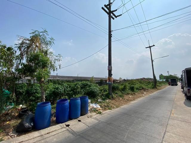 ที่ดิน 2000000 ปทุมธานี ลำลูกกา ลาดสวาย ที่ดิน 2000000 ปทุมธานี ลำลูกกา ลาดสวาย