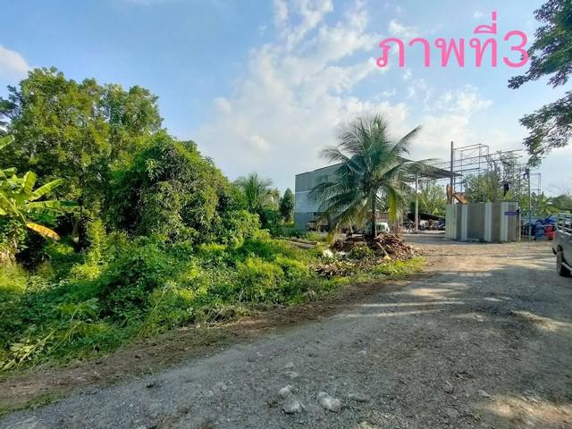 ที่ดิน 110000000 นนทบุรี บางกรวย บางสีทอง ที่ดิน 110000000 นนทบุรี บางกรวย บางสีทอง