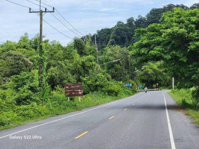 ที่ดิน 35130000 นครนายก เมืองนครนายก สาริกา