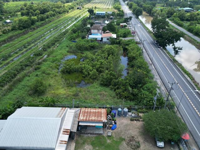 ที่ดิน 3500000 ปทุมธานี หนองเสือ บึงกาสาม ที่ดิน 3500000 ปทุมธานี หนองเสือ บึงกาสาม