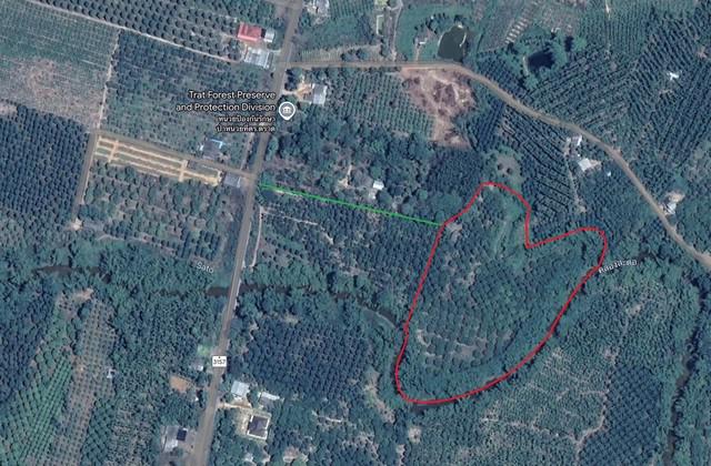 ที่ดิน 8000000 ตราด เขาสมิง สะตอ ที่ดิน 8000000 ตราด เขาสมิง สะตอ