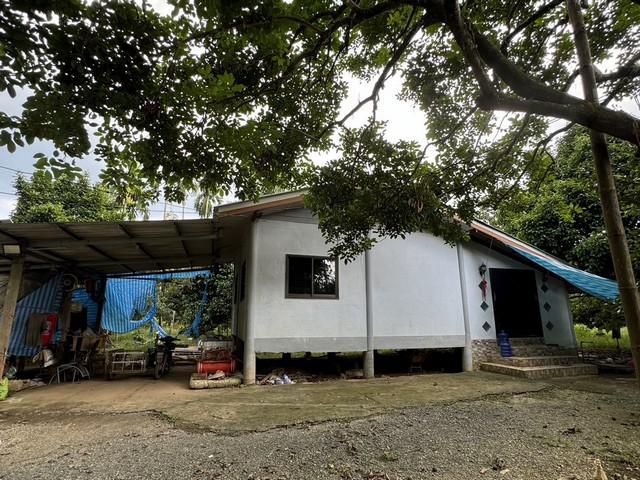 ที่ดิน 8000000 ตราด เขาสมิง สะตอ ที่ดิน 8000000 ตราด เขาสมิง สะตอ