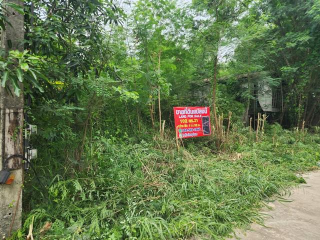 ที่ดิน 1300000 ปทุมธานี คลองหลวง คลองสาม ที่ดิน 1300000 ปทุมธานี คลองหลวง คลองสาม