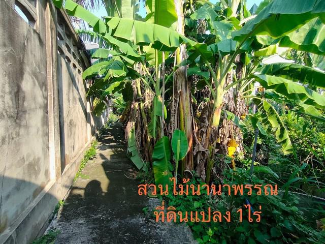 ที่ดิน 62000000 นนทบุรี บางกรวย บางสีทอง ที่ดิน 62000000 นนทบุรี บางกรวย บางสีทอง