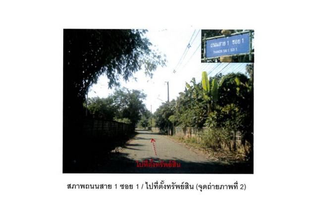 ที่ดิน 500000 เชียงราย เชียงแสน เวียง ที่ดิน 500000 เชียงราย เชียงแสน เวียง