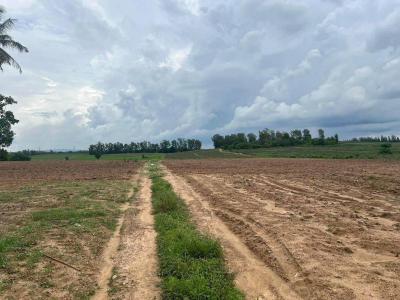 ที่ดิน 2500000 ชลบุรี หนองใหญ่ เขาซก