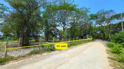 ที่ดิน 8616000 เชียงใหม่ สันทราย หนองหาร