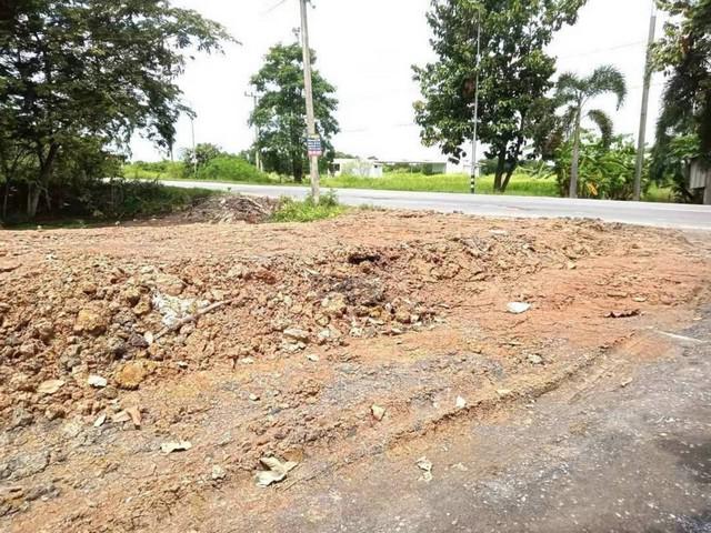ที่ดิน 3500000 ปทุมธานี หนองเสือ บึงกาสาม ที่ดิน 3500000 ปทุมธานี หนองเสือ บึงกาสาม