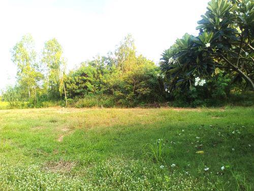 ที่ดิน 870000 พิษณุโลก เมืองพิษณุโลก หัวรอ ที่ดิน 870000 พิษณุโลก เมืองพิษณุโลก หัวรอ