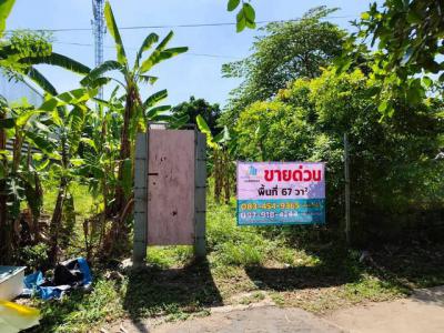 ที่ดิน 2500000 กรุงเทพมหานคร