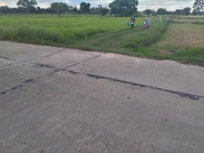 ที่ดิน 500000 สุรินทร์ ท่าตูม ท่าตูม