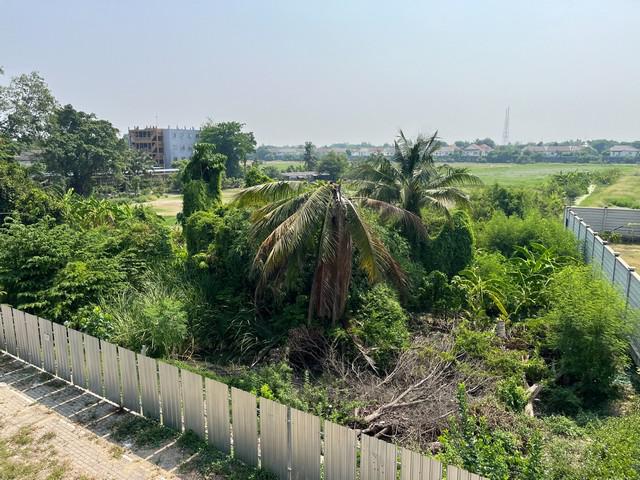 ที่ดิน 19000000 นครปฐม พุทธมณฑล ศาลายา ที่ดิน 19000000 นครปฐม พุทธมณฑล ศาลายา