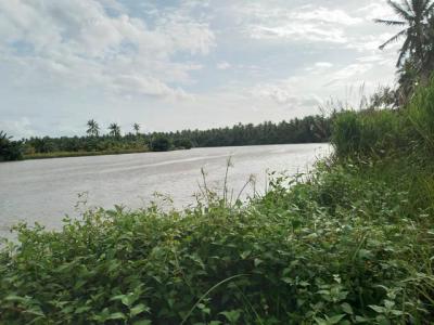 ที่ดิน 1300000 สุราษฎร์ธานี พุนพิน ลีเล็ด