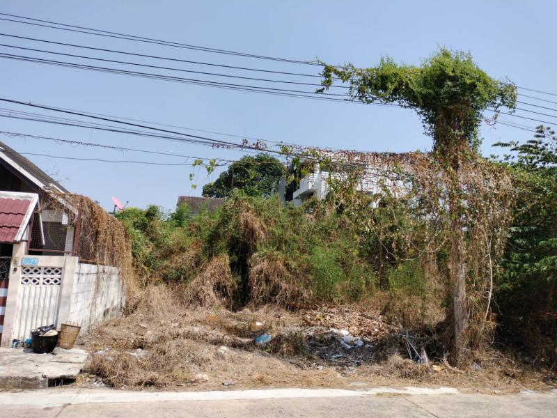 ที่ดิน 6750000 นนทบุรี ปากเกร็ด ปากเกร็ด ที่ดิน 6750000 นนทบุรี ปากเกร็ด ปากเกร็ด