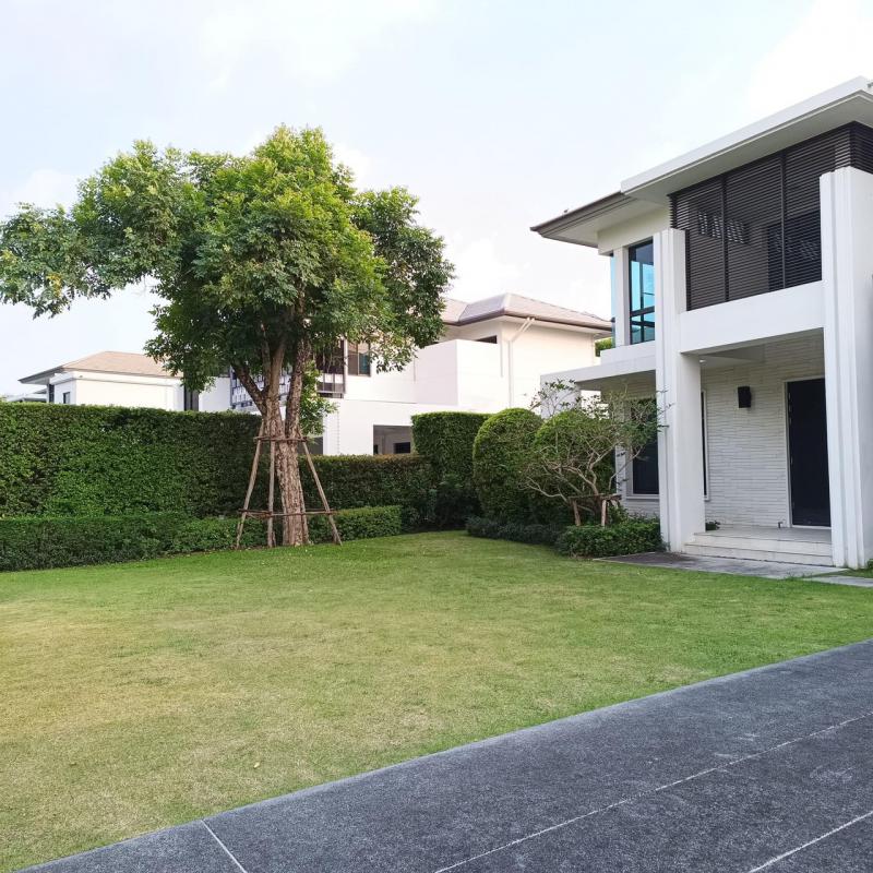 บ้านเดี่ยว 49000000 นนทบุรี ปากเกร็ด ท่าอิฐ บ้านเดี่ยว 49000000 นนทบุรี ปากเกร็ด ท่าอิฐ