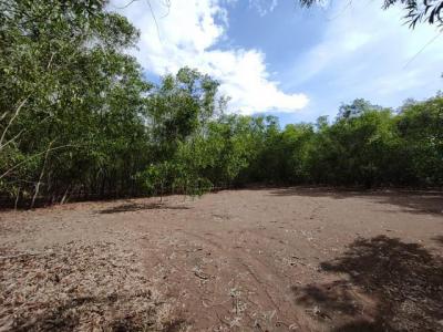 ที่ดิน 5885000 ปทุมธานี คลองหลวง คลองสาม