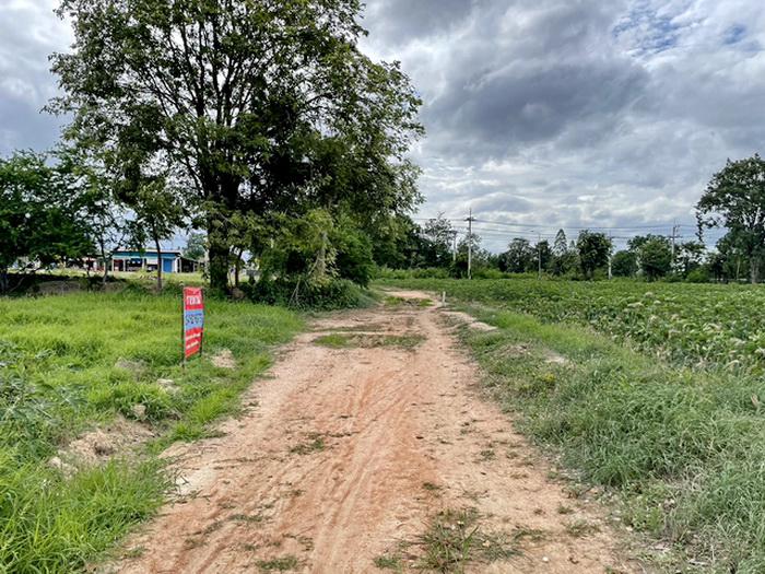 ที่ดิน 700000 กาญจนบุรี เลาขวัญ หนองโสน ที่ดิน 700000 กาญจนบุรี เลาขวัญ หนองโสน