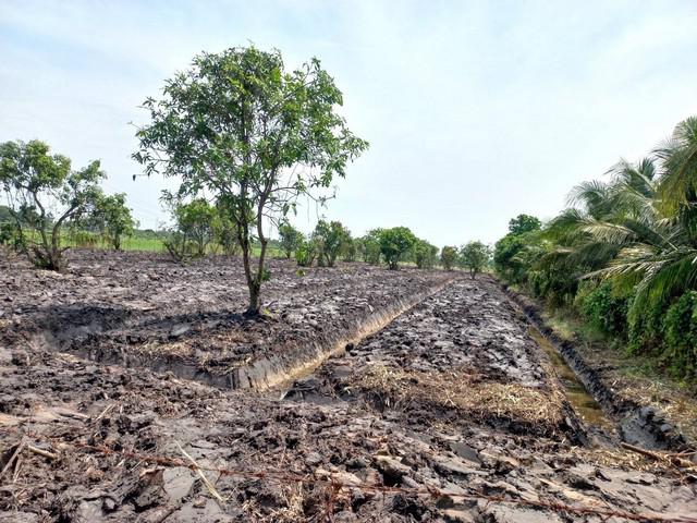 ที่ดิน 1500000 ปทุมธานี ลาดหลุมแก้ว บ่อเงิน ที่ดิน 1500000 ปทุมธานี ลาดหลุมแก้ว บ่อเงิน