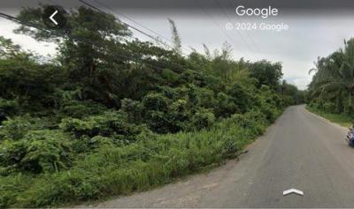 ที่ดิน 9900000 ชุมพร ปะทิว สะพลี