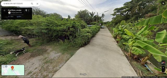 ที่ดิน 1000000 นครปฐม นครชัยศรี งิ้วราย ที่ดิน 1000000 นครปฐม นครชัยศรี งิ้วราย