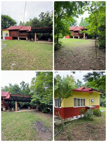 บ้านเดี่ยว 1500000 ขอนแก่น สีชมพู หนองแดง