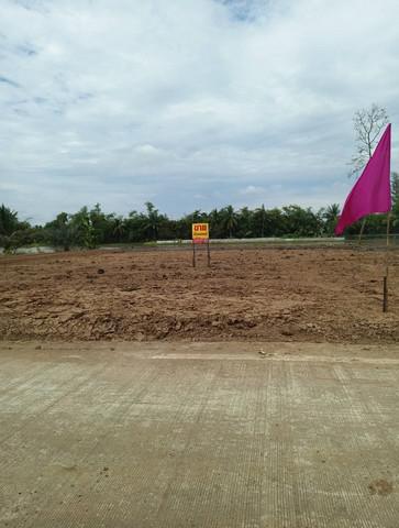 ที่ดิน 880000 กรุงเทพมหานคร เขตหนองจอก คลองสิบสอง