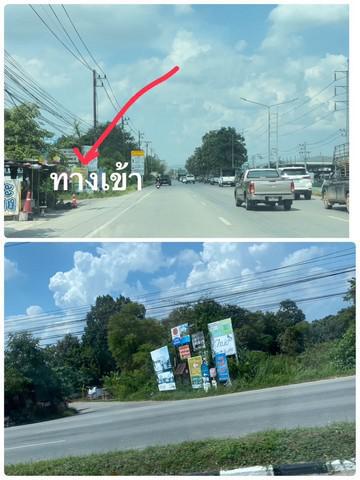 ที่ดิน 20000 เชียงใหม่ สันทราย หนองจ๊อม