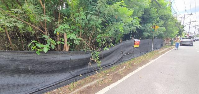 ที่ดิน 55000000 พระนครศรีอยุธยา พระนครศรีอยุธยา ประตูชัย ที่ดิน 55000000 พระนครศรีอยุธยา พระนครศรีอยุธยา ประตูชัย