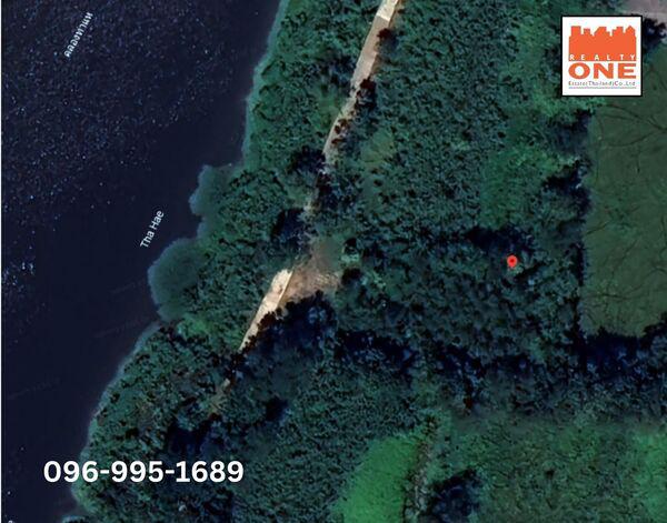 ที่ดิน 1500000 ปราจีนบุรี ประจันตคาม บ้านหอย ที่ดิน 1500000 ปราจีนบุรี ประจันตคาม บ้านหอย