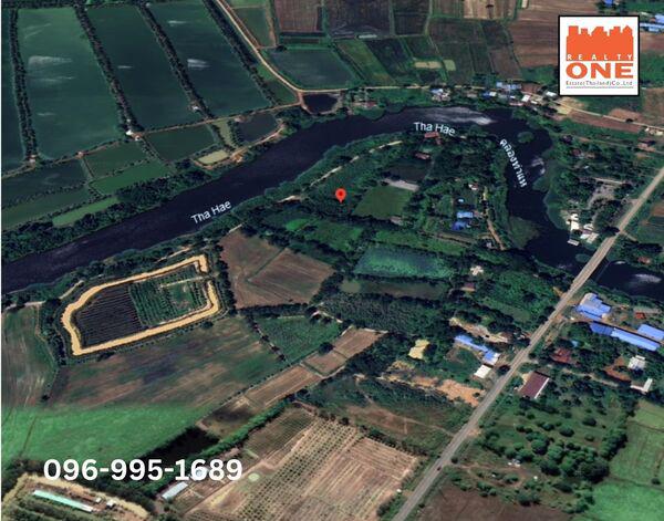 ที่ดิน 1500000 ปราจีนบุรี ประจันตคาม บ้านหอย ที่ดิน 1500000 ปราจีนบุรี ประจันตคาม บ้านหอย