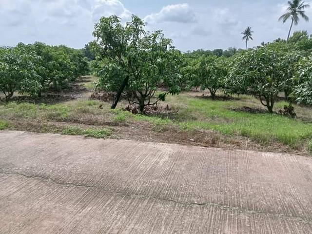ที่ดิน 3600000 เพชรบูรณ์ หนองไผ่ ห้วยโป่ง ที่ดิน 3600000 เพชรบูรณ์ หนองไผ่ ห้วยโป่ง